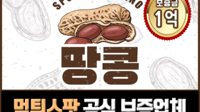 먹튀검증 보증업체 안전한 토토사이트 - 땅콩